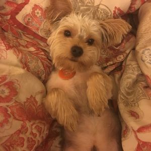 Meet your Posher, Brenda